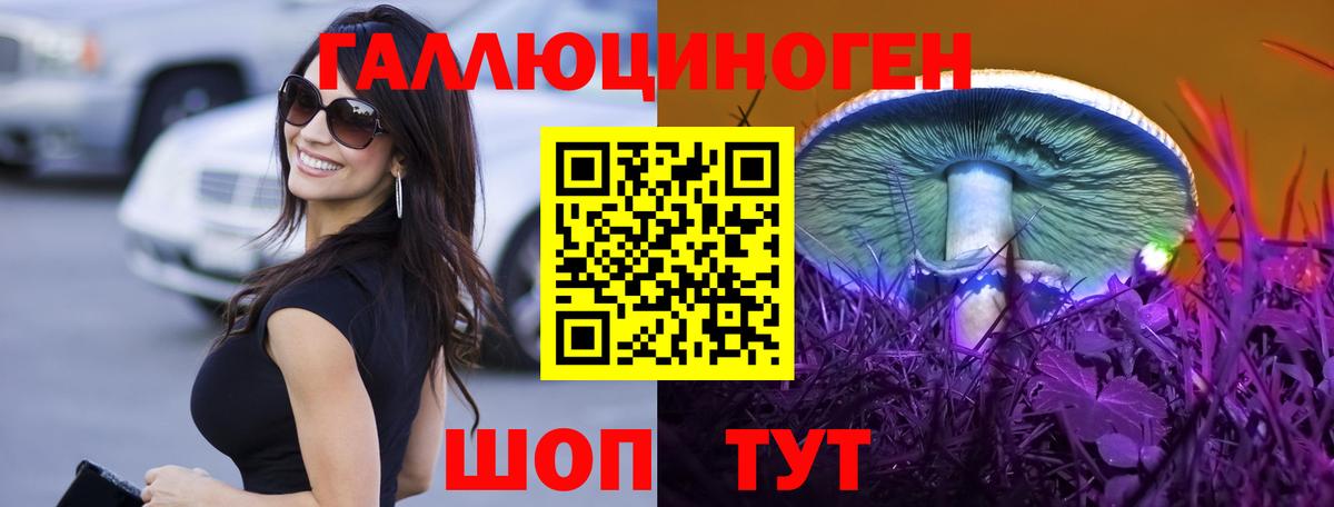 Новочебоксарск  Галлюциногенные грибы Cubensis  закладка  Вход с VPN 